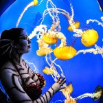 Sea Dragons: Night at the Georgia Aquarium