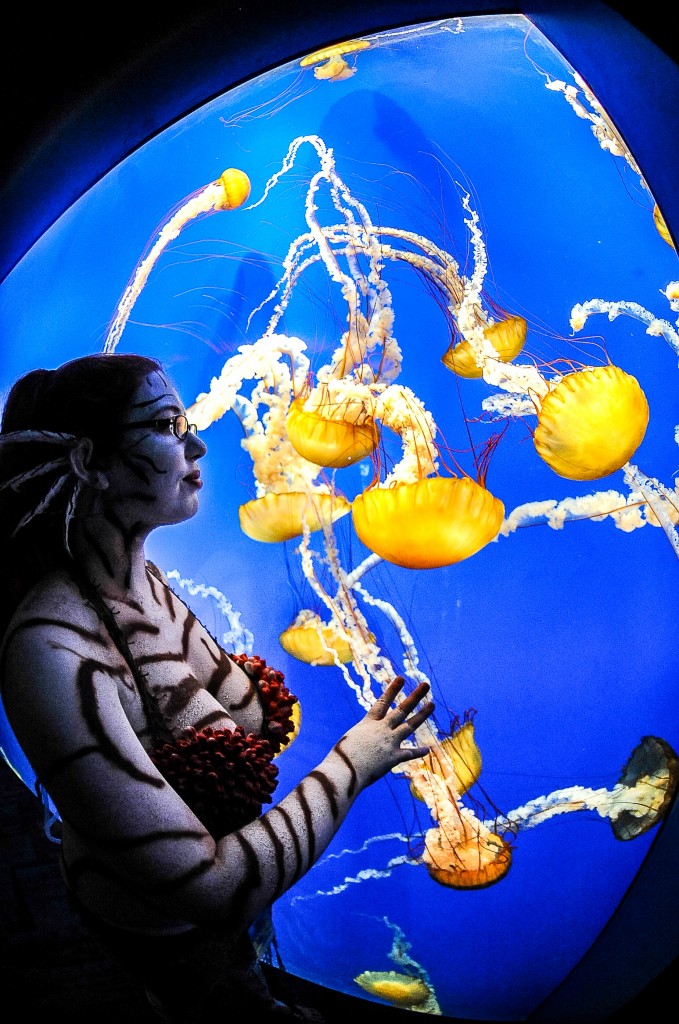 Sea Dragons Night at the Aquarium