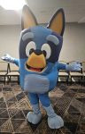 Down Under Fun: An Afternoon with Bluey